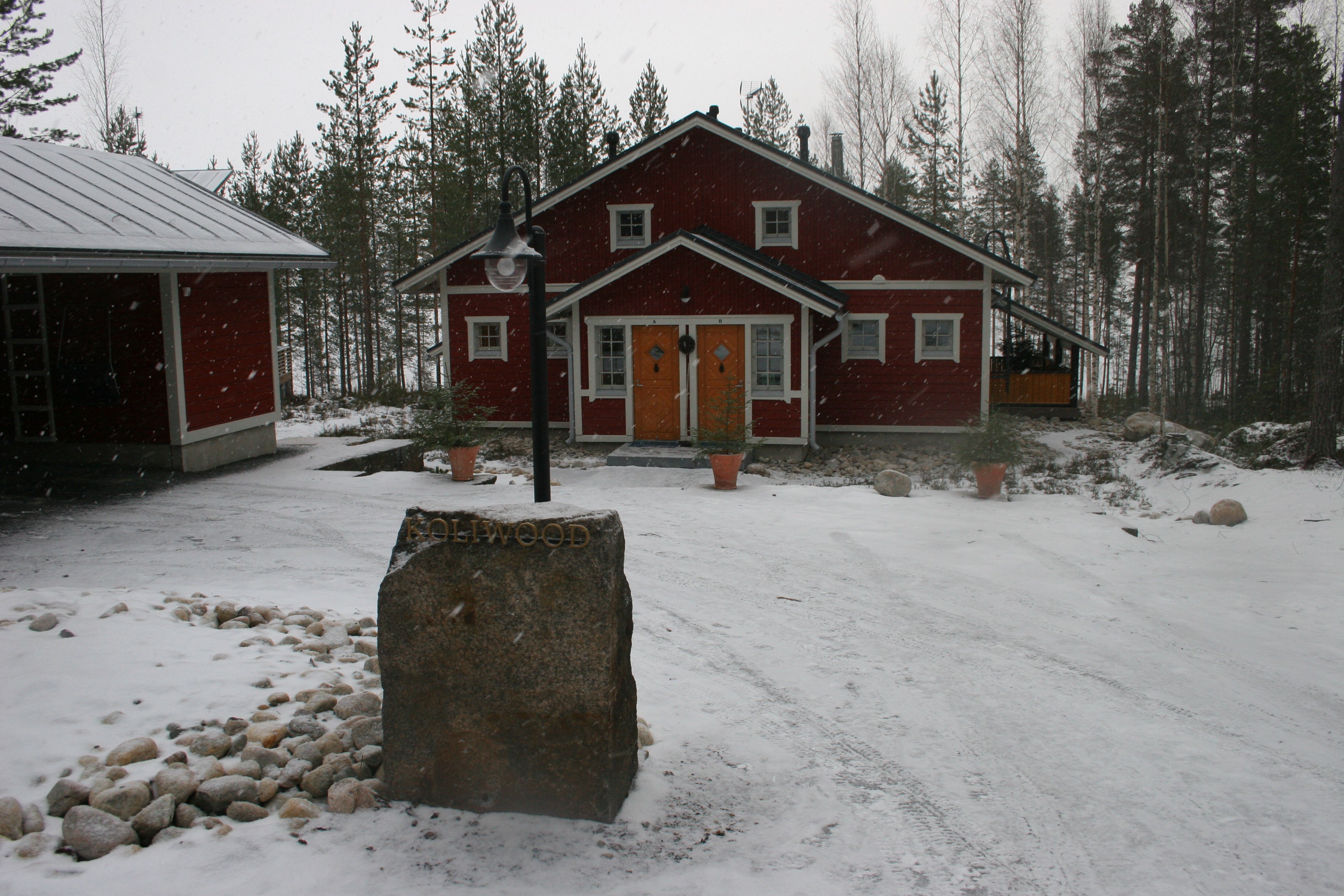 IMG 1200.jpg