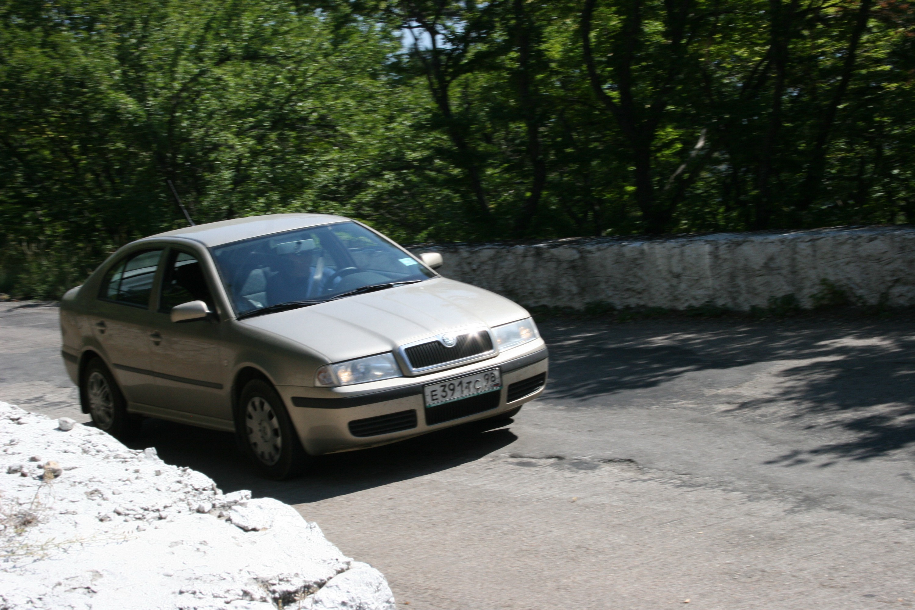 IMG 271_resize.jpg