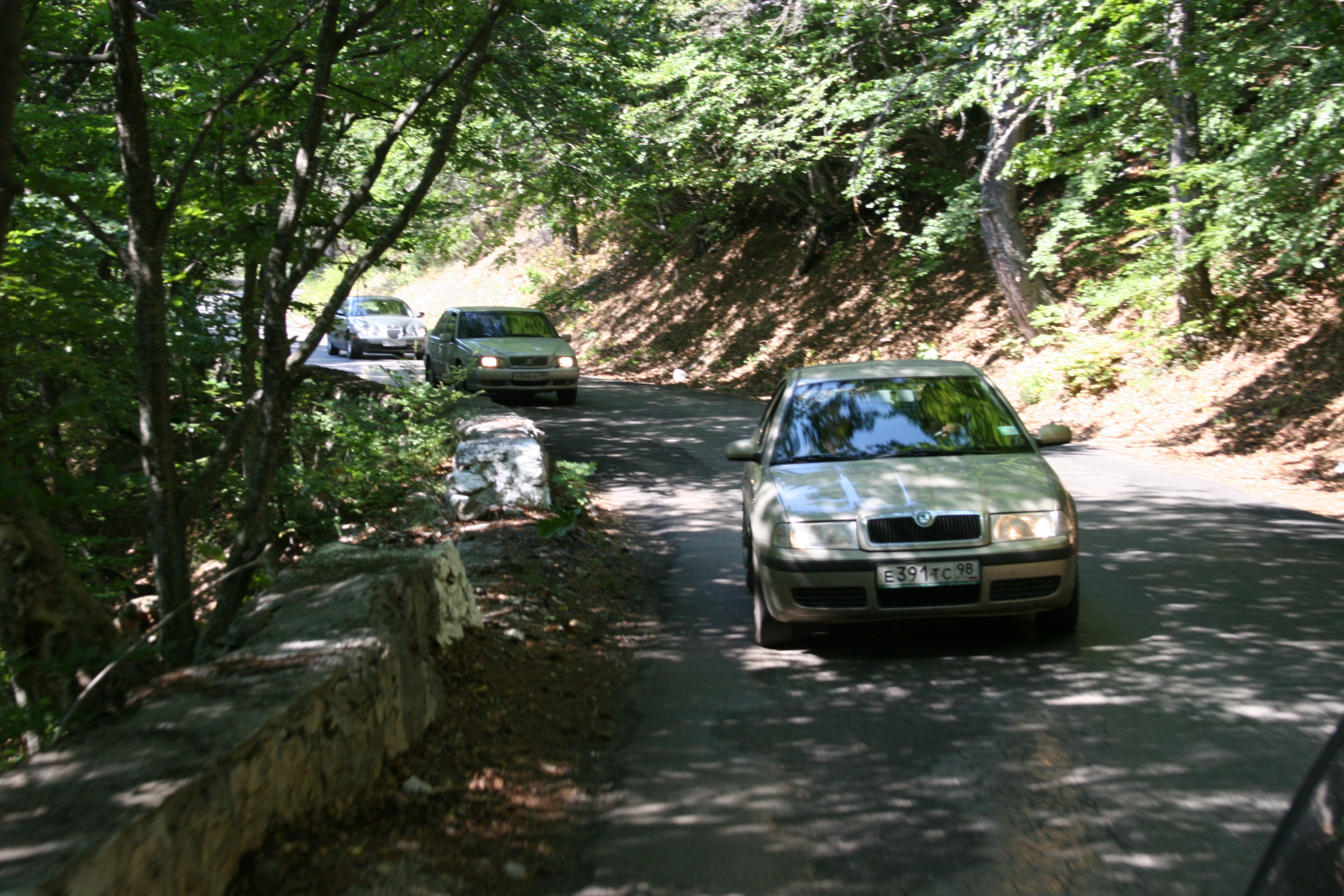 IMG 277.jpg