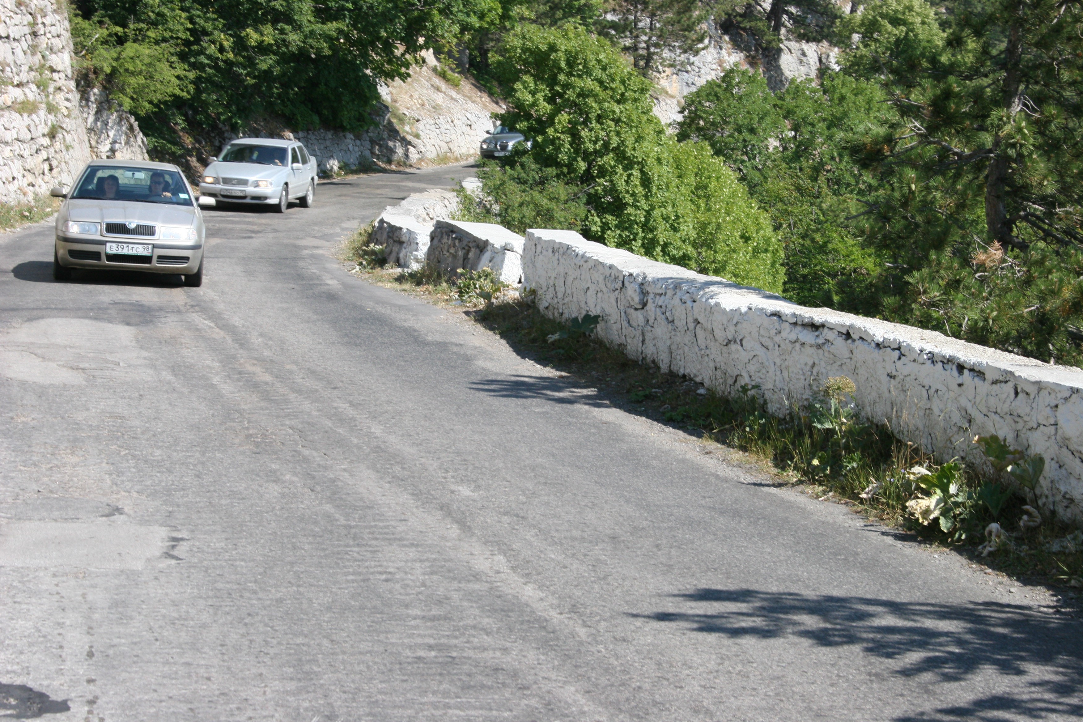 IMG 305.jpg