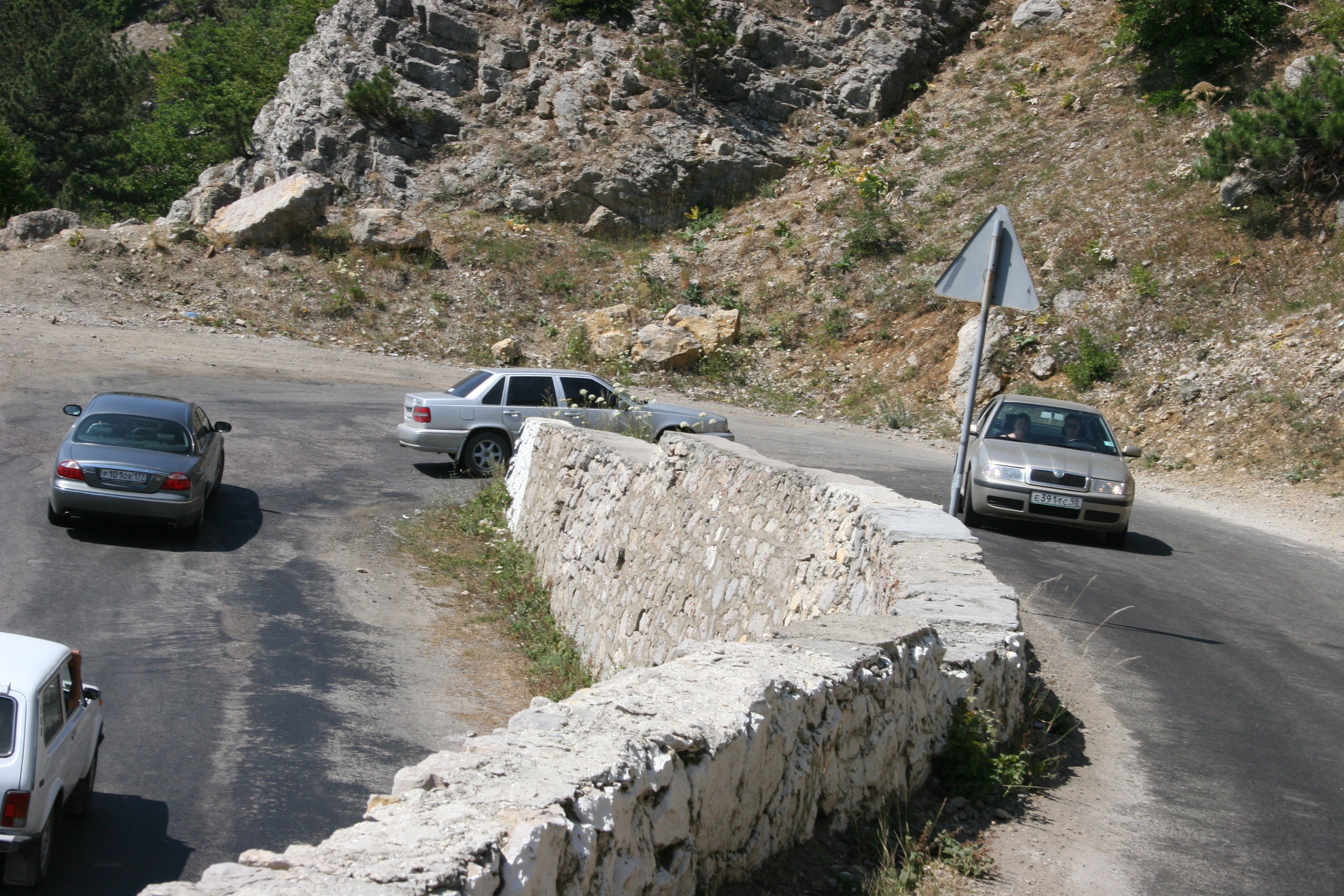 IMG 320.jpg