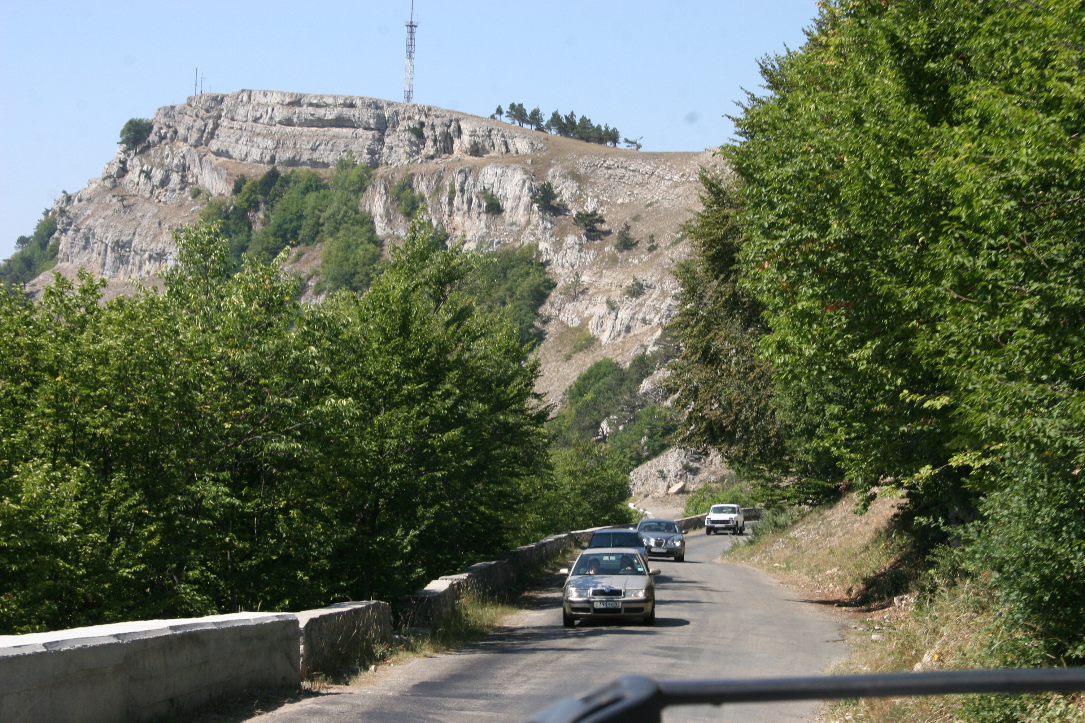 IMG 324.jpg