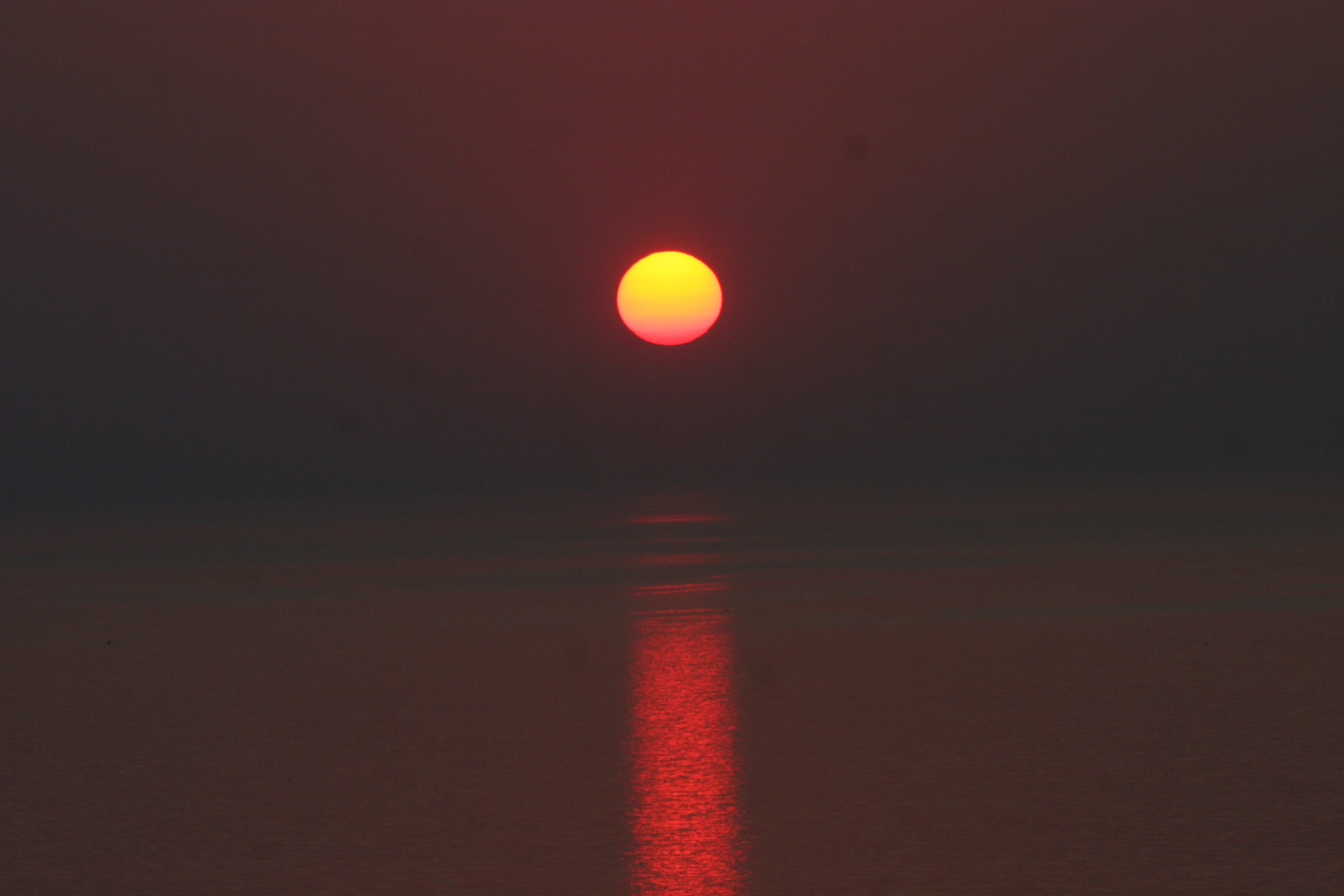 IMG 330.jpg