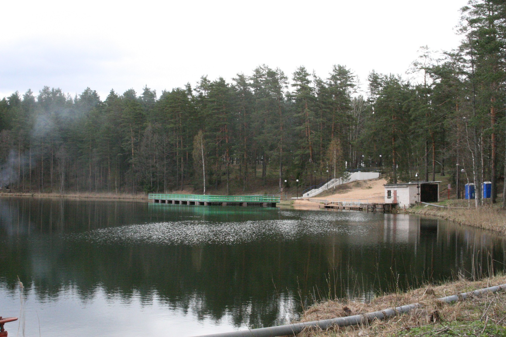 IMG 355.jpg