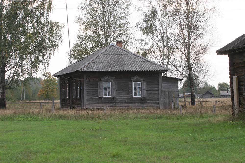 IMG 4517