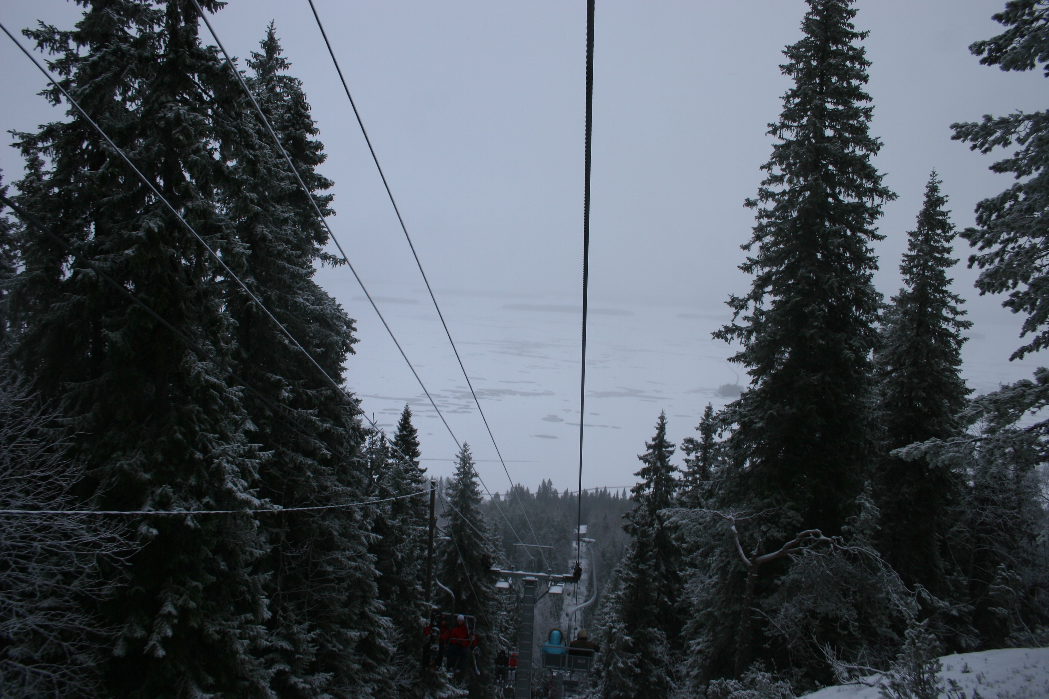 IMG 790.jpg