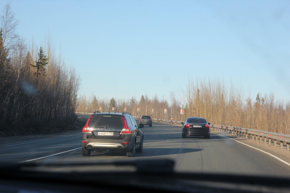 IMG_2556.jpg