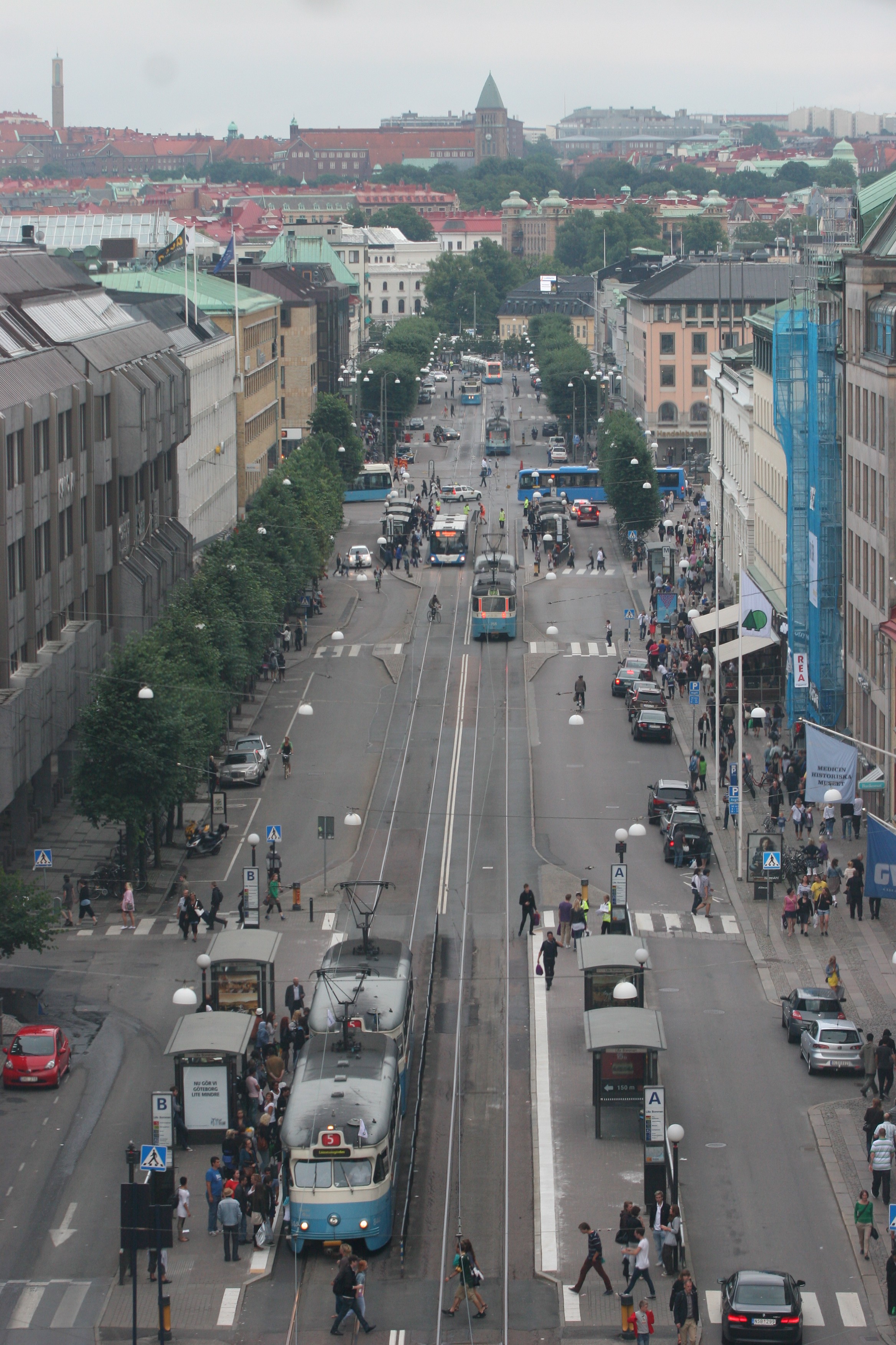 IMG_5795.jpg