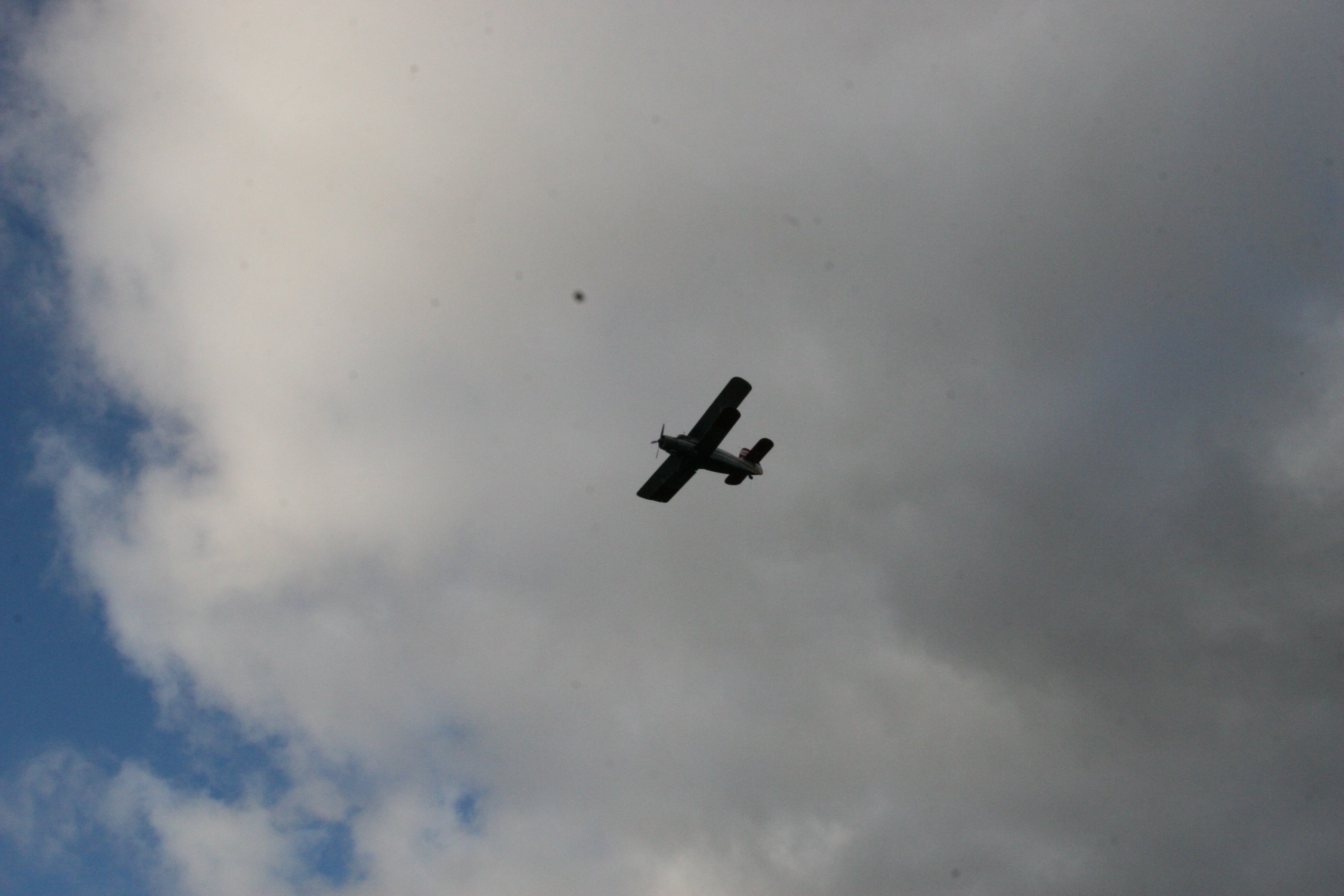 IMG_5875.JPG