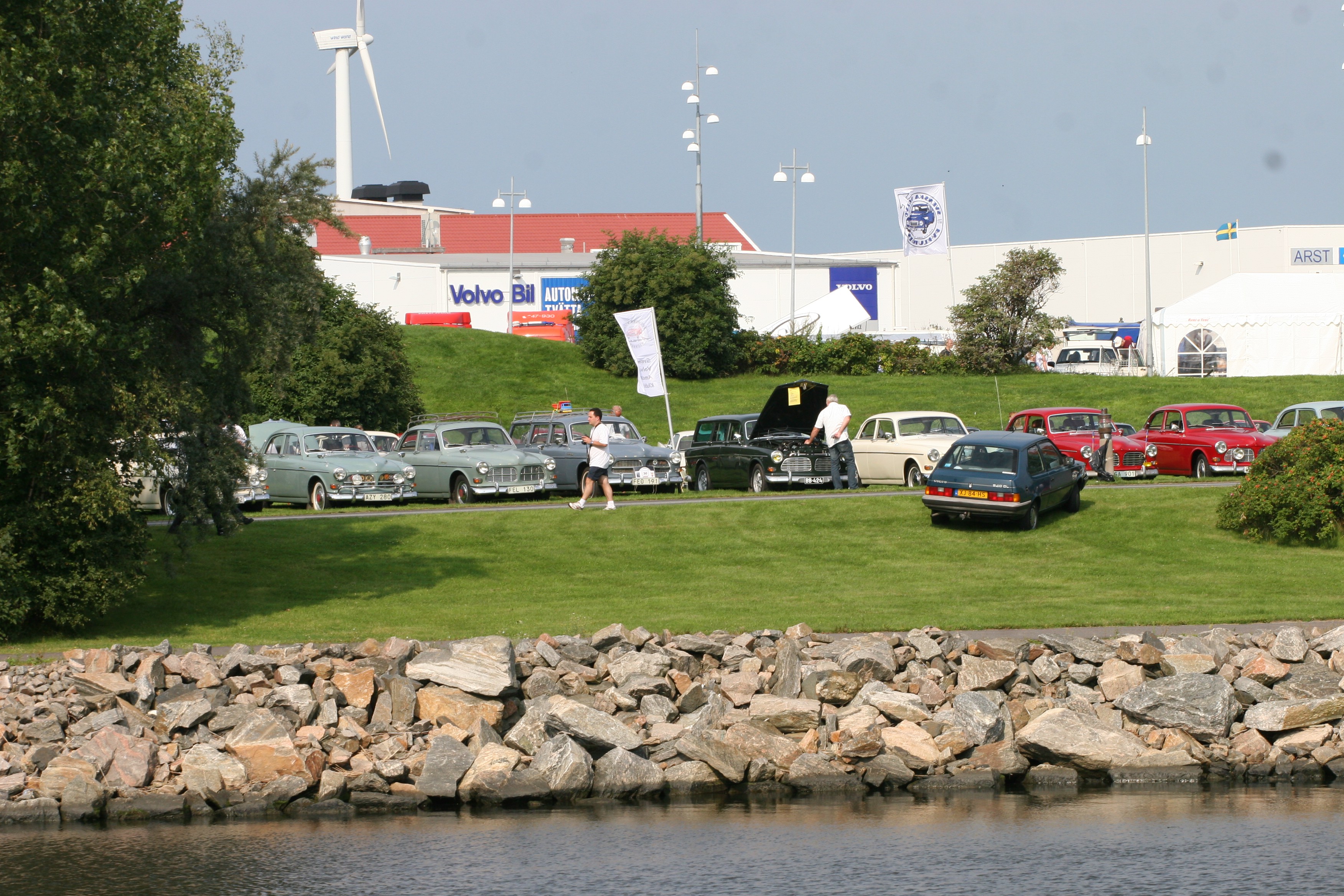 IMG_6146.jpg