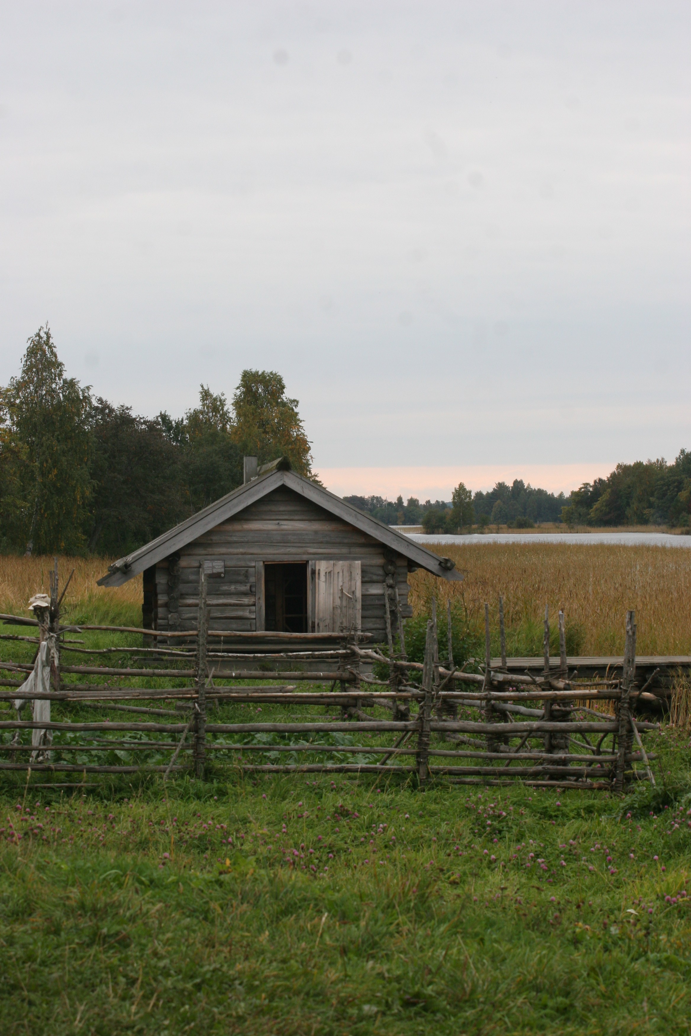 IMG_6433.jpg