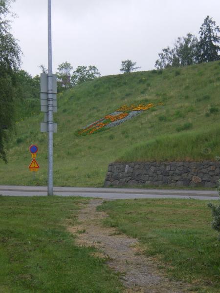 IMGP2119