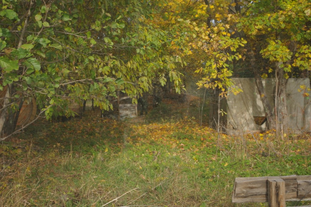 IMGP5114.JPG