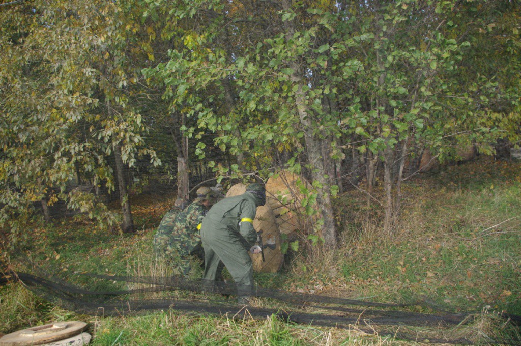 IMGP5116.JPG