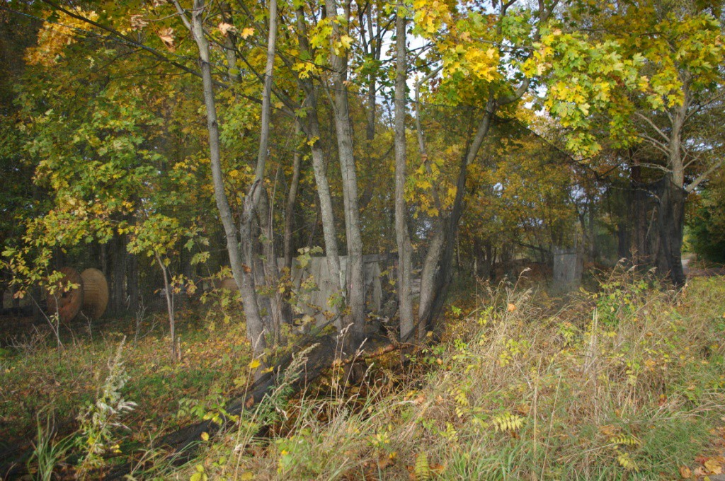 IMGP5117.JPG