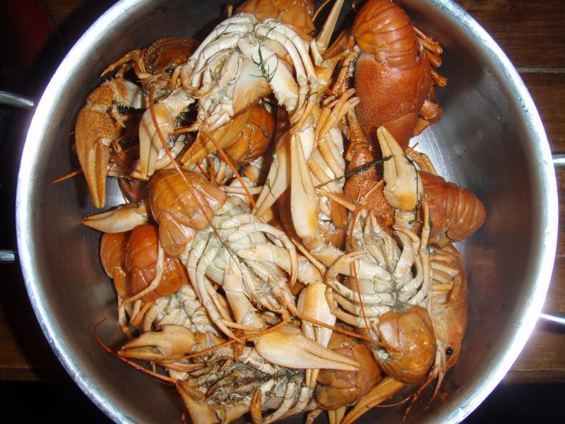 раки