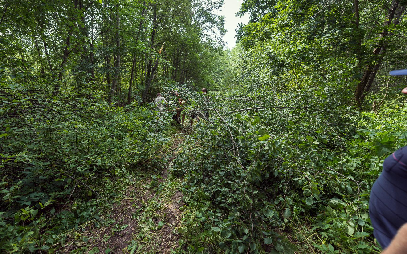 SG4_6150.jpg