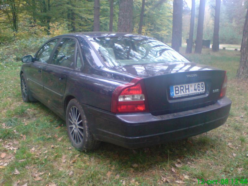 В лесу