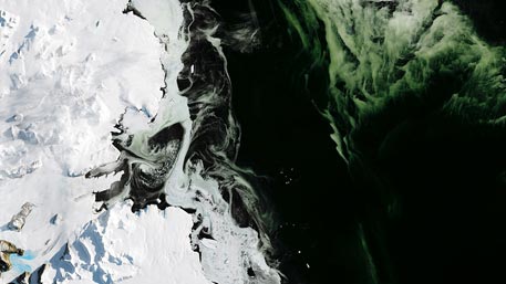 m.tvzvezda.ru
